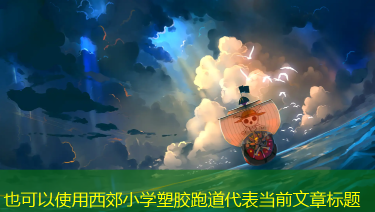 西郊小学塑胶跑道