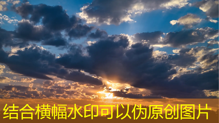 双鸭山哪里做塑胶跑道好