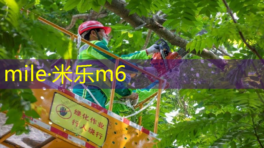 网球拍颜色选择图解说明